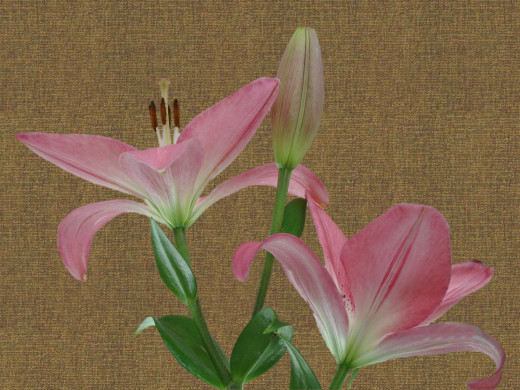 429279 (a): :1600x1200